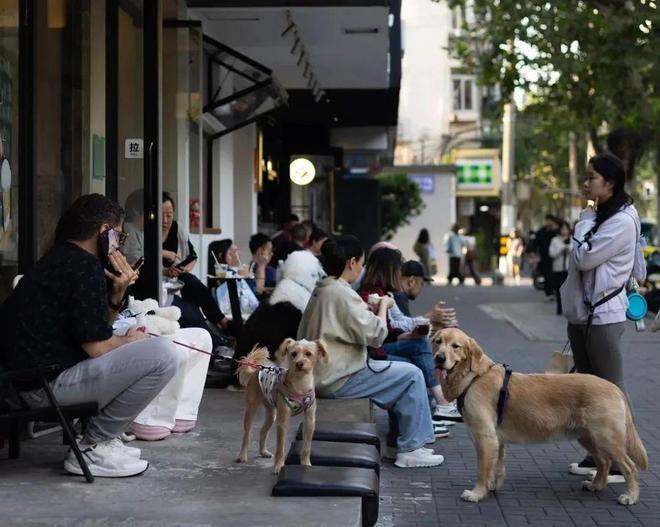 了双11爱上了“老年严选”OG视讯这届脆皮年轻人抛弃(图14)