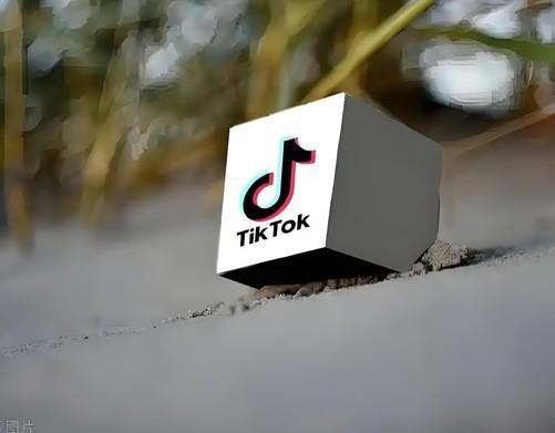 应用榜 Temu第一TikTok第三OG网站App Store美国免费(图1)
